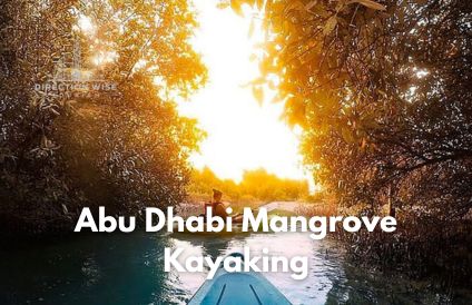 Abu Dhabi Mangrove Kayaking